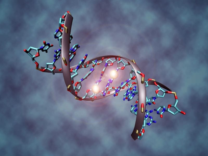 Image of a DNA molecular being methylated