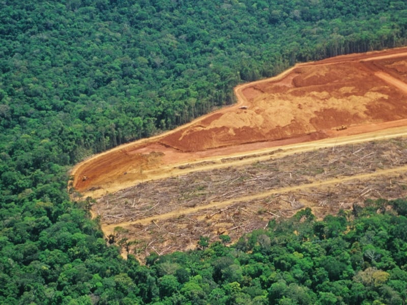 Image of a bare, deforested area surrounded by the atlantic forest