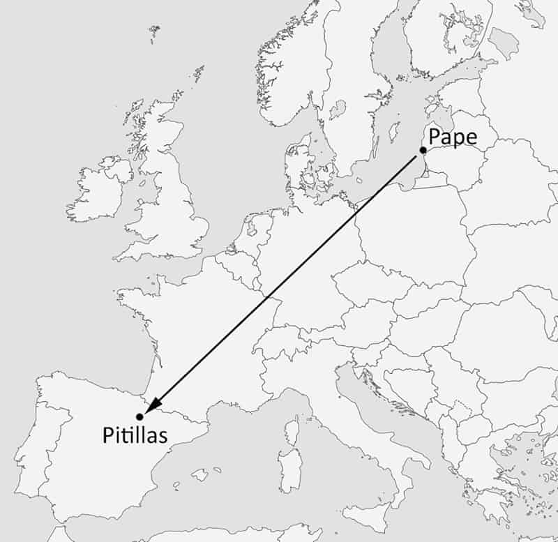 Map displaying Long-distance movement of a Nathusius’ pipistrelle from Pape (Latvia) to Pitillas (Spain).